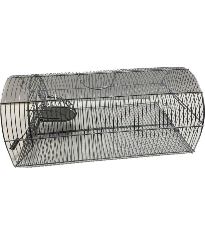 Ratonera Wanja Nº3 | Inicio 