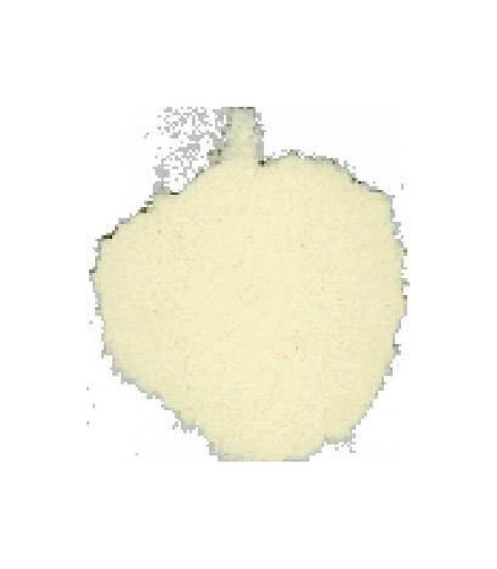 Polvo de caseína de color crema claro, textura fina, presentado en un envase genérico sin etiquetar.