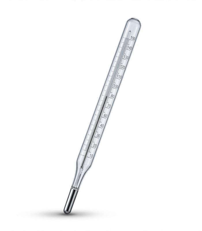Termómetro Varilla Mercurio 150ºC 255mm